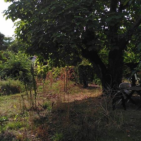 Villa Lulu Mérignac Dış mekan fotoğraf