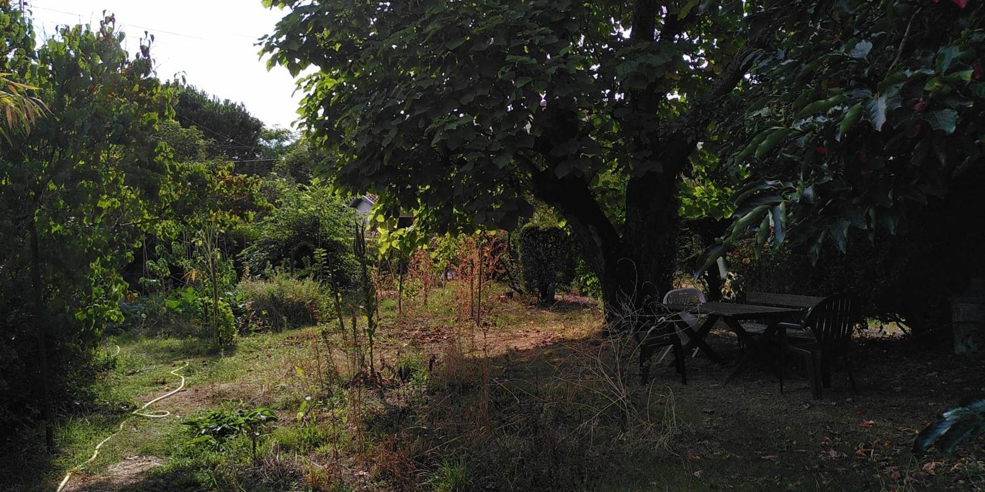 Villa Lulu Mérignac Dış mekan fotoğraf